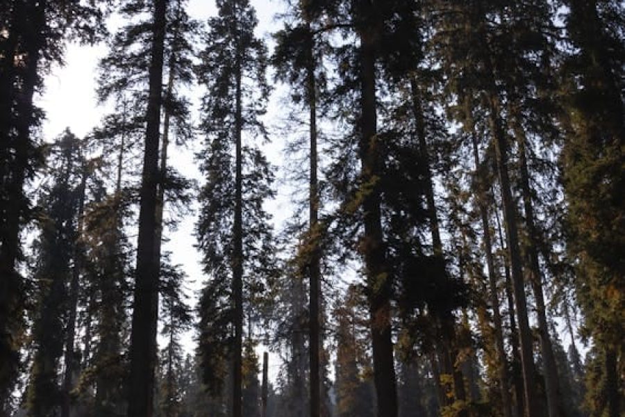 Ultimate Kashmir Escape
